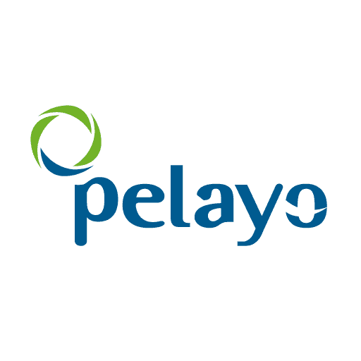 Pelayo (512x512px)